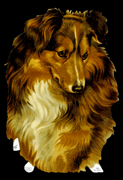 Glansbilledeark - Lassie Hund 