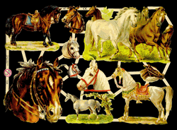 Glansbilledeark - Heste i galop 
