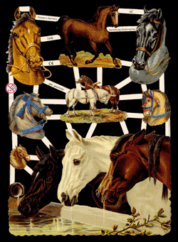 Glansbilledeark - Heste 3 store