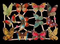 Glansbilledeark - Smukke sommerfugle