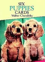 Kortbog - Six Puppies Cards